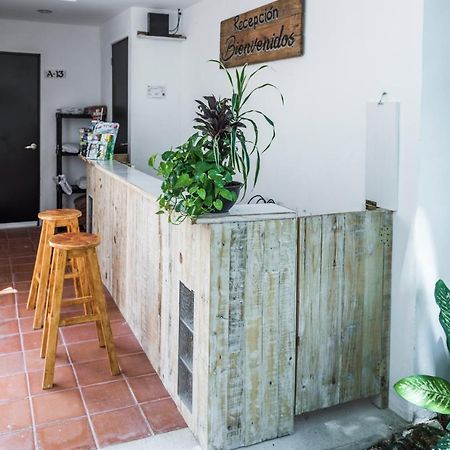 Villa Alejandra Hotel Boutique Playa del Carmen Zewnętrze zdjęcie