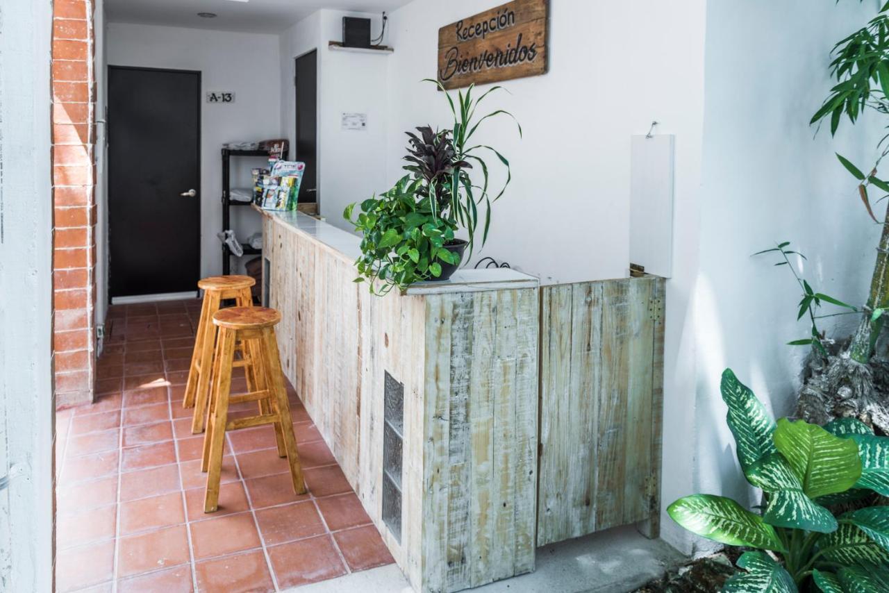 Villa Alejandra Hotel Boutique Playa del Carmen Zewnętrze zdjęcie